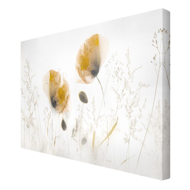 tableaux floraux Fleurs de pavot et herbes délicates dans un doux brouillard