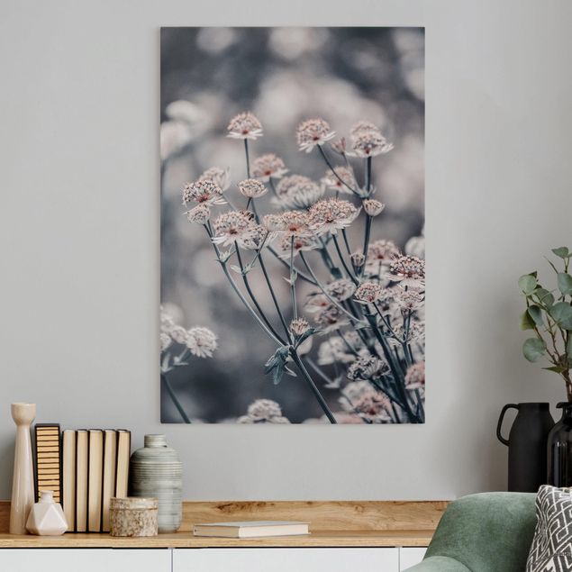 Tableaux sur toile avec herbes Bouquet de fleurs mystiques