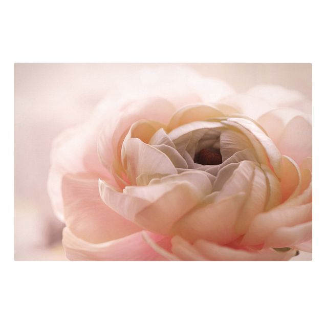 Tableau romantique amour Focus sur une fleur rose pâle