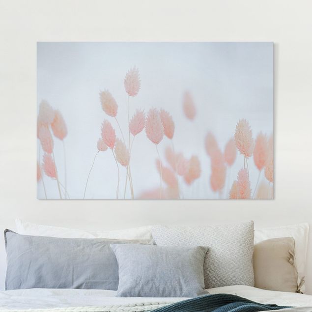 Tableaux sur toile avec herbes Grass Tips In Pale Pink