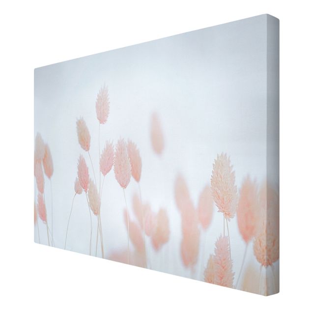 Tableaux Grass Tips In Pale Pink