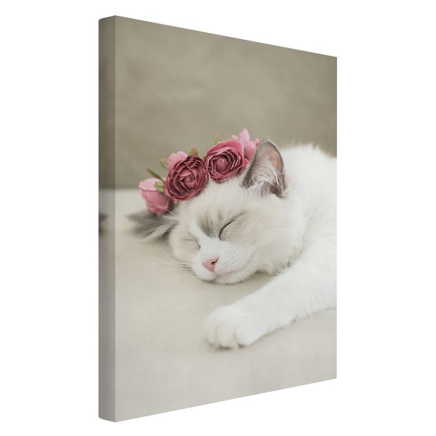 Tableau toile chat Chat endormi avec des roses