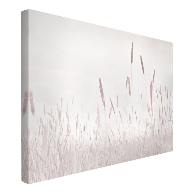 tableaux floraux Summerly Reed Grass