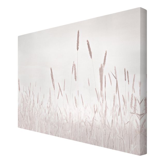 Tableaux muraux Summerly Reed Grass
