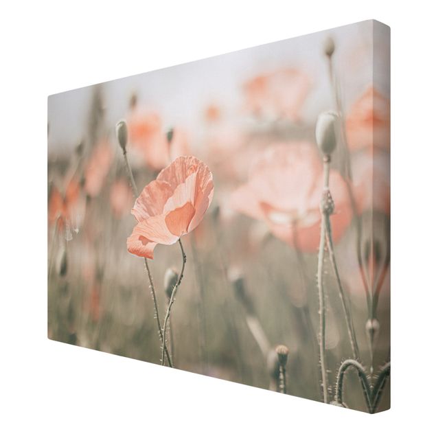 Tableau floral Sun-Kissed Poppy Fields