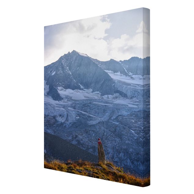 Tableaux nature Sentier balisé dans les Alpes