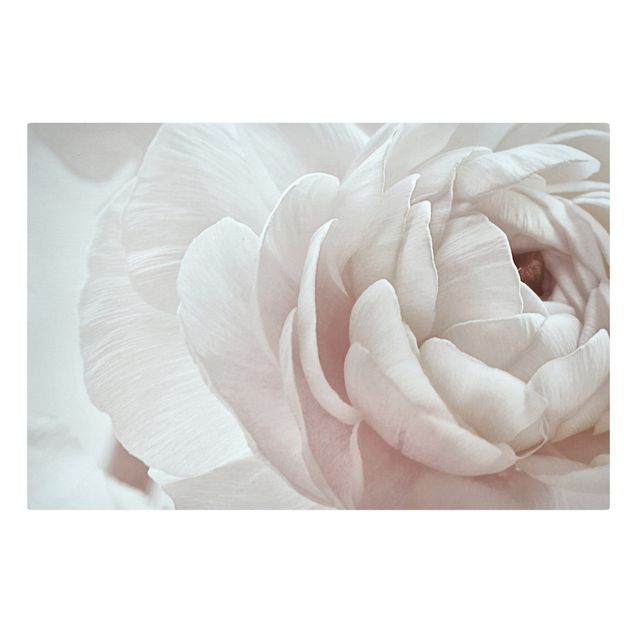 Tableau amour Fleur blanche dans un océan de fleurs