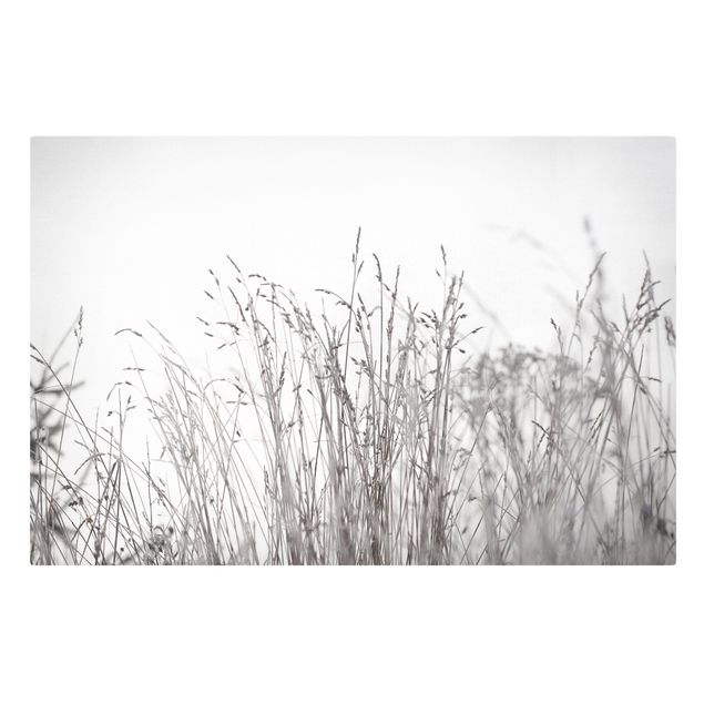 Tableau amour Winter Grasses