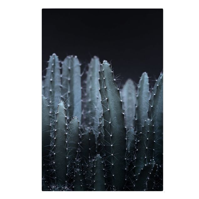Tableau floral Cactus du désert la nuit