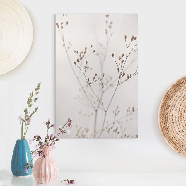 Tableaux sur toile avec herbes Gemmes délicates sur tige de fleurs blanches