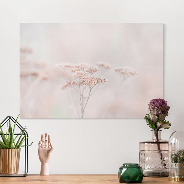 Tableaux sur toile avec herbes Pale Pink Wild Flowers