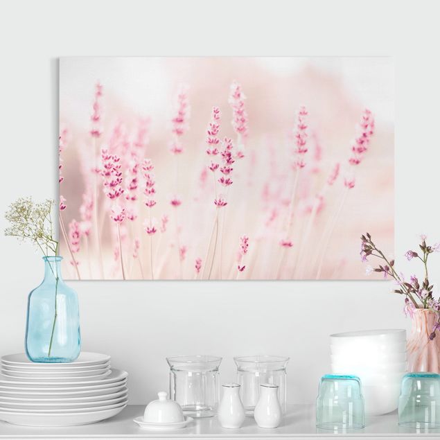 Tableaux sur toile avec herbes Lavande rose pâle