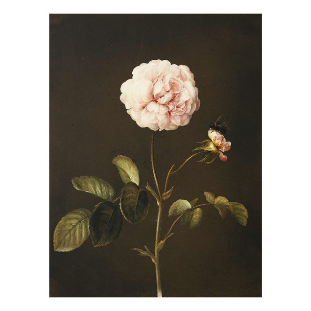 Tableaux en verre fleurs Barbara Regina Dietzsch - Rose française avec Bumblbee