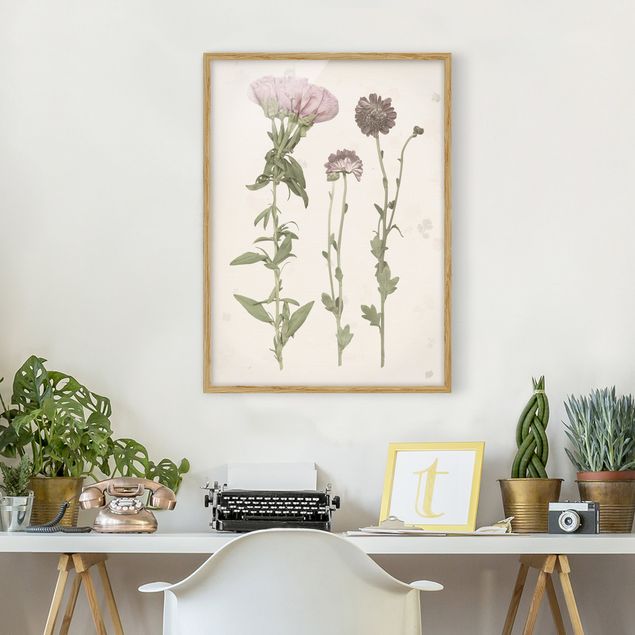 tableaux floraux Herbier en rose III