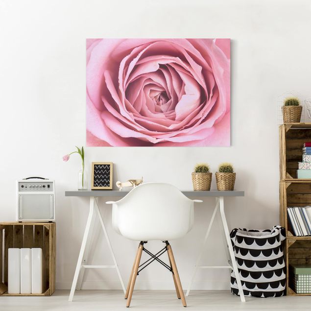 Tableau moderne Fleur de Rose rose