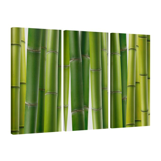 Tableaux arbres Plantes de bambou
