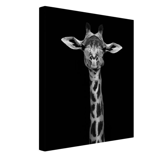 Tableaux sur toile en noir et blanc Portrait de girafe sombre