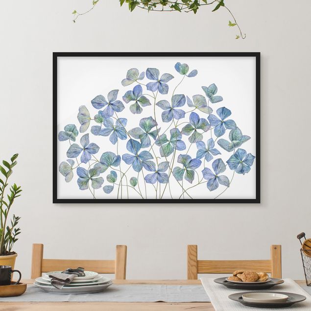 Décorations cuisine Fleurs d'hortensia bleues