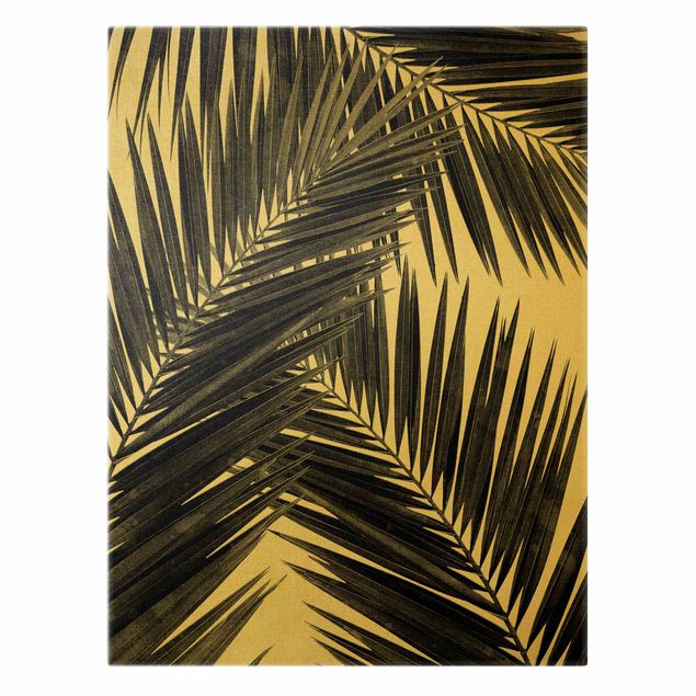 Impressions sur toile Vue sur des feuilles de palmier noir et blanc
