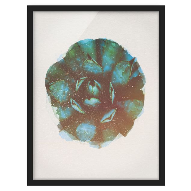 Tableaux fleurs Aquarelles - Blue Agave