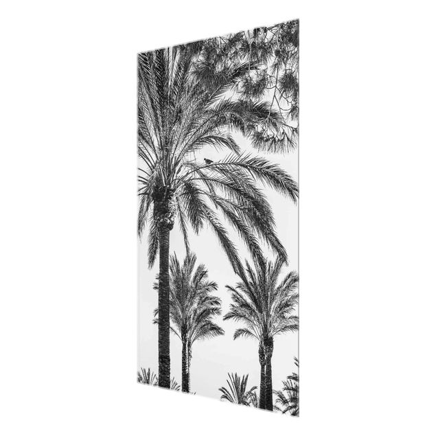 Tableau moderne Palmiers au coucher du soleil noir et blanc
