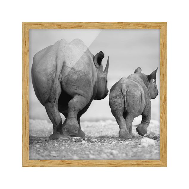 Poster encadré abstrait Rhinocéros errants II