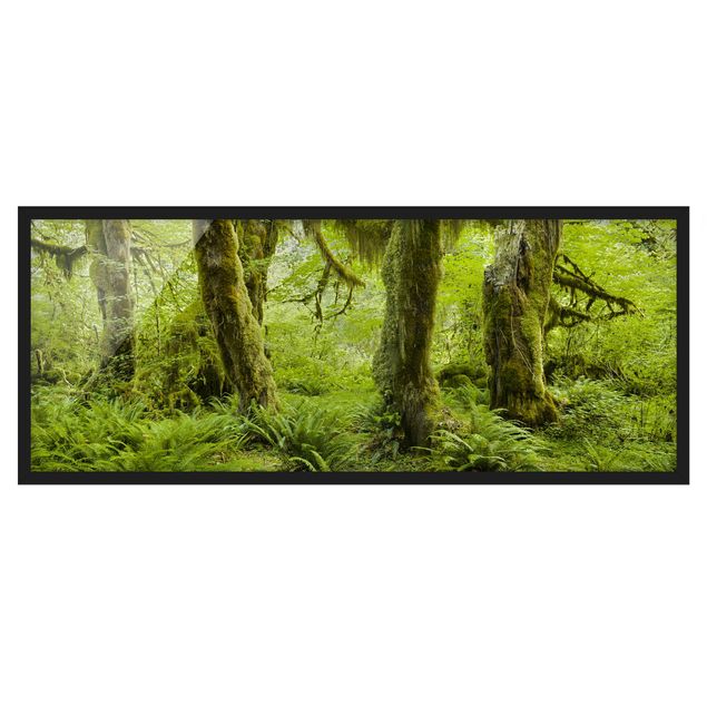 Affiches encadrées paysage Hall of Mosses Olympic National Park