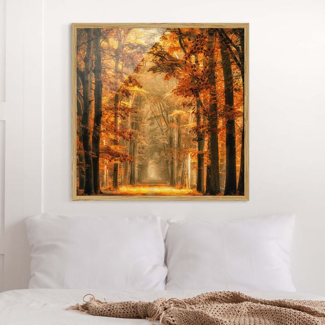 Tableaux paysage Forêt enchantée en automne