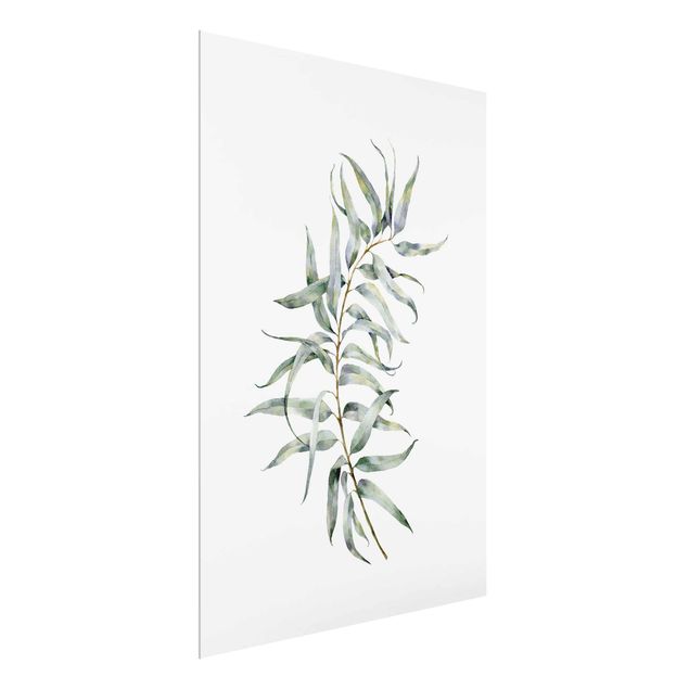 Tableaux fleurs Eucalyptus Aquarelle lV