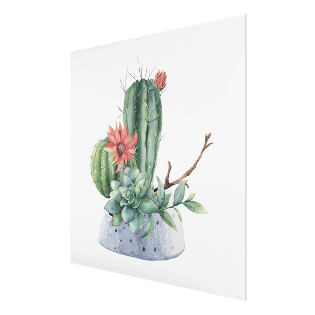 Tableaux muraux Illustration de cactus à l'aquarelle