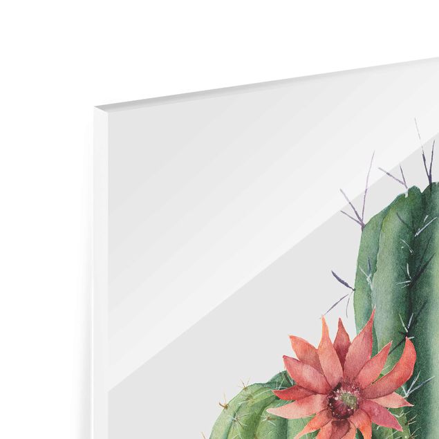 Tableaux en verre magnétique Illustration de cactus à l'aquarelle