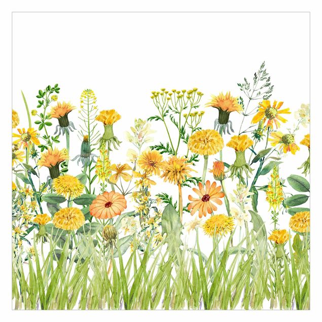 tapisserie panoramique Aquarelle - Prairie de fleurs en Gelb