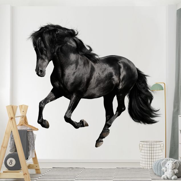Papier peint cheval Etalon Arabe