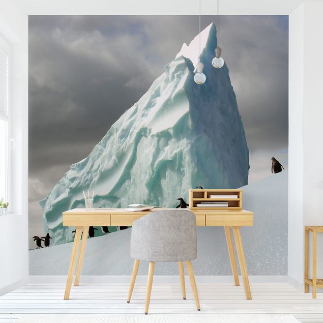 Papier peint montagne Manchots arctiques