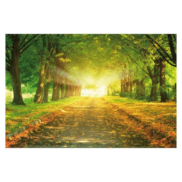 Papier peint panoramique Avenue d'automne