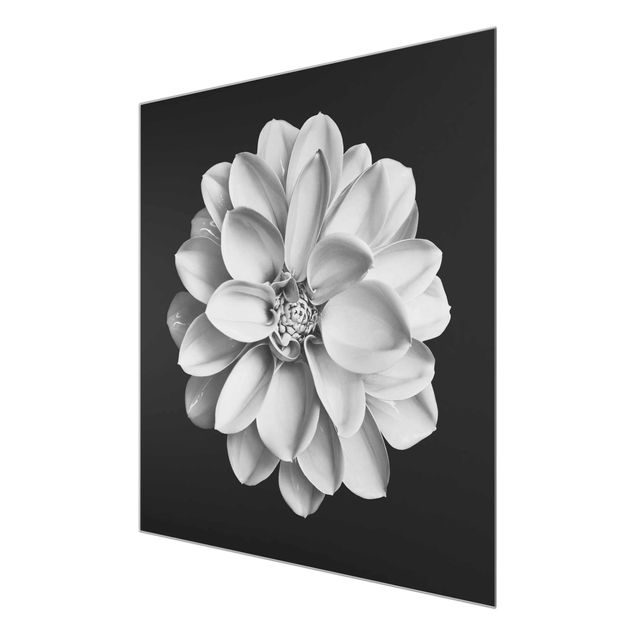 Tableau décoration Dahlia Noir et Blanc
