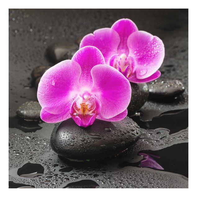 Tableau moderne Fleur Orchidée Rose sur Pierres avec Gouttes