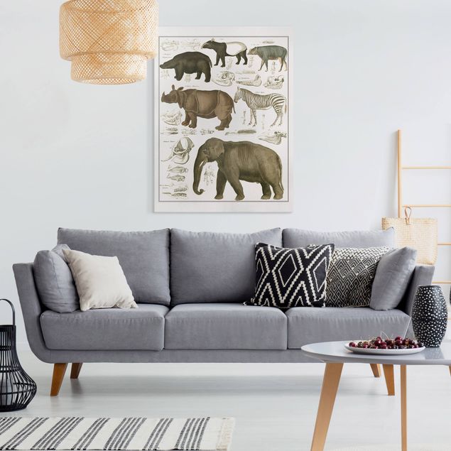 Tableau paysage Tableau Botanique éléphant, zèbre et rhino