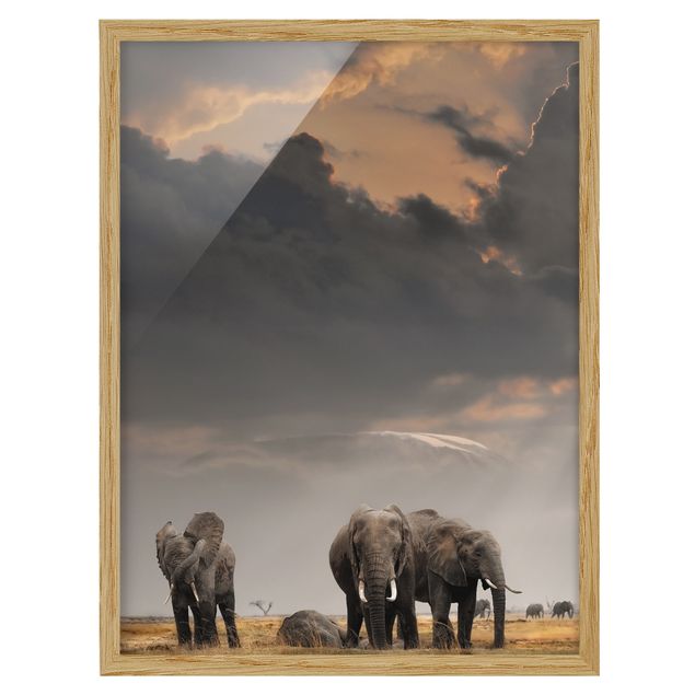 Tableaux encadrés paysage Eléphants dans la savane