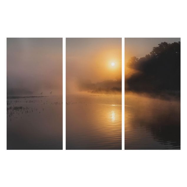Tableau deco nature Lever de soleil sur le lac avec des cerfs dans le brouillard