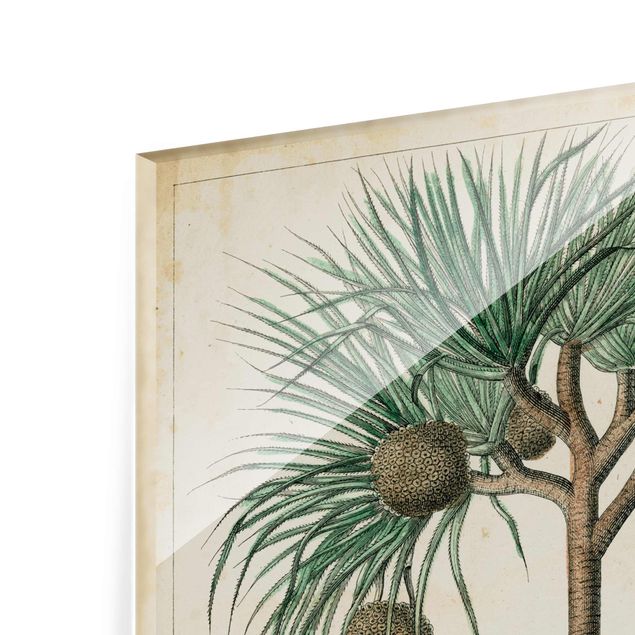 Tableaux Tableau Vintage Palmiers exotiques I