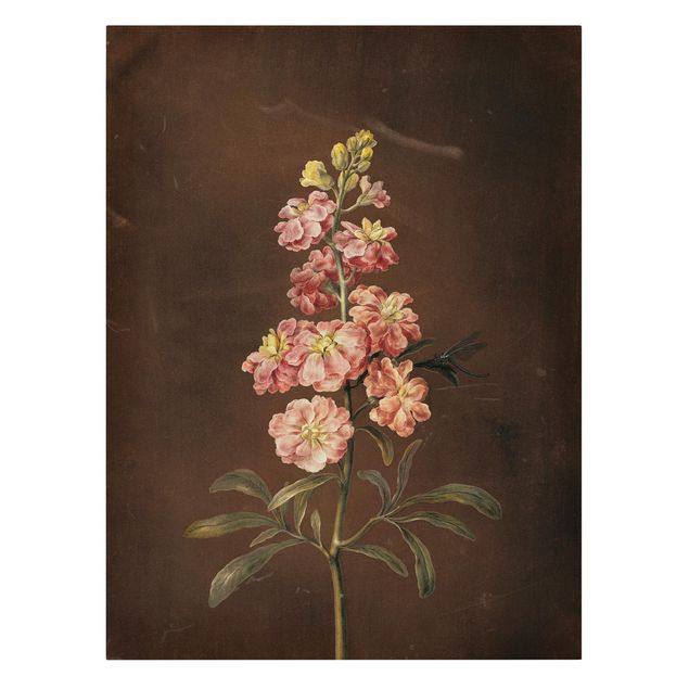 Tableau floral mural Barbara Regina Dietzsch - Une giroflée rose pâle