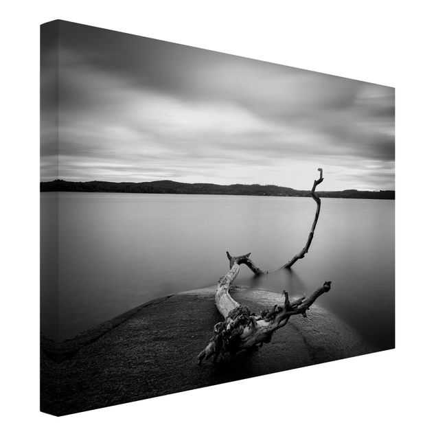 Tableaux sur toile en noir et blanc Coucher de soleil en noir et blanc au bord du lac