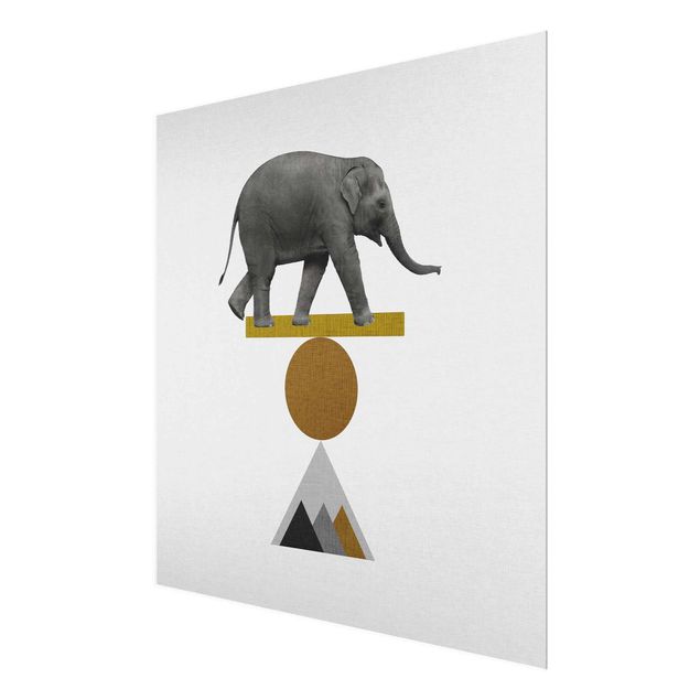 Tableaux muraux Éléphant Art de l'équilibre