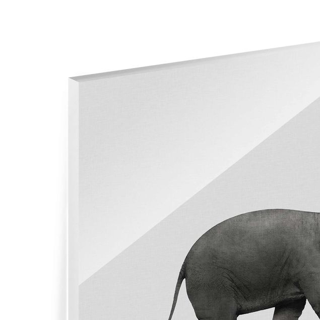Tableaux en verre magnétique Éléphant Art de l'équilibre