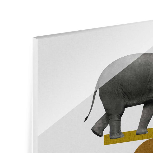 Tableaux en verre magnétique Éléphant Art de l'équilibre