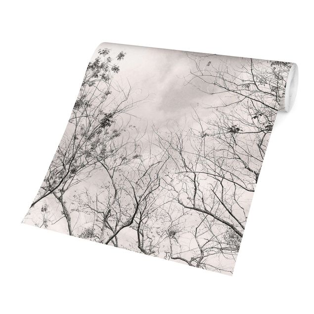Papier peint gris Treetops In The Sky In Warm Grey