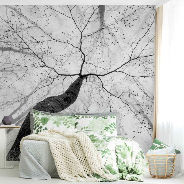 Papier peint panoramique noir et blanc Chiome degli alberi in cielo
