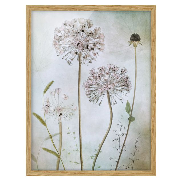 Tableau style vintage Fleurs d'Allium au pastel