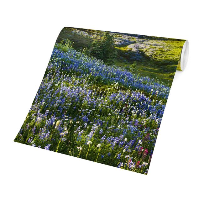 Papier peint fleurs Mountain Meadow With Blue Flowers in Front of Mt. Rainier